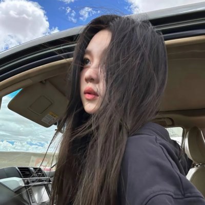 特雷萨旗手