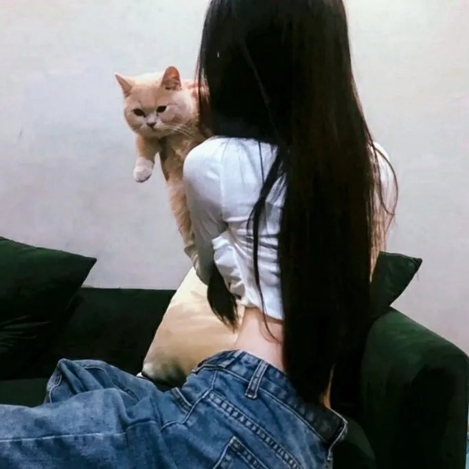 米奇米妮的圣诞星愿